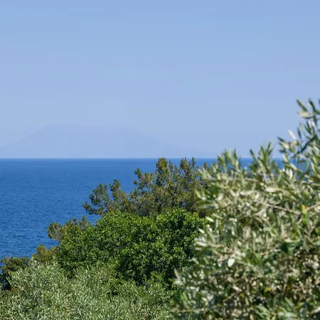 Apartment Olea Mare