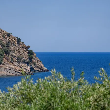 Olea Mare * Koinira